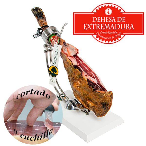 cod-297-paletilla-do-extremadura-corte.png